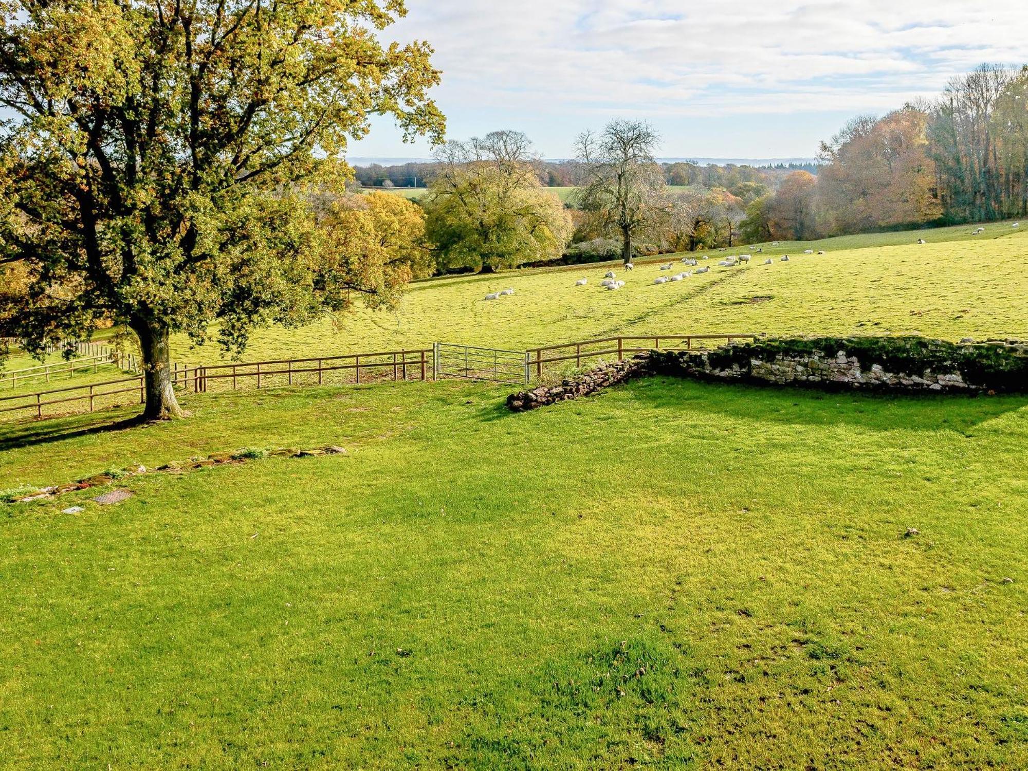 Вилла Owl Barn -- Uk30757 Bream Экстерьер фото